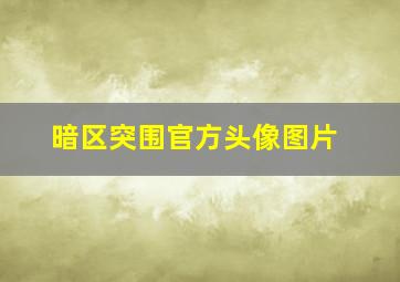 暗区突围官方头像图片