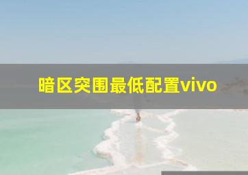 暗区突围最低配置vivo