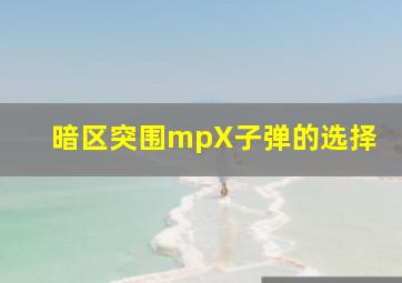 暗区突围mpX子弹的选择