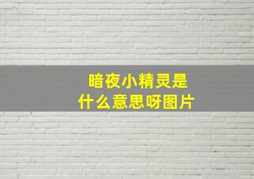 暗夜小精灵是什么意思呀图片