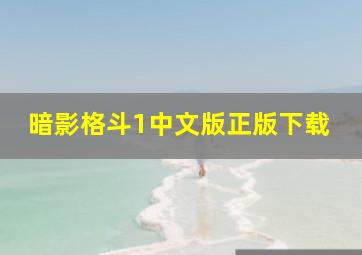 暗影格斗1中文版正版下载