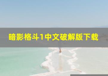 暗影格斗1中文破解版下载