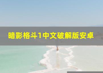 暗影格斗1中文破解版安卓