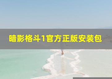 暗影格斗1官方正版安装包