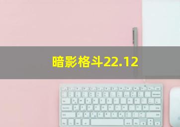 暗影格斗22.12