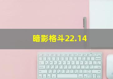 暗影格斗22.14