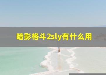 暗影格斗2sly有什么用