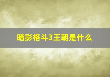 暗影格斗3王朝是什么