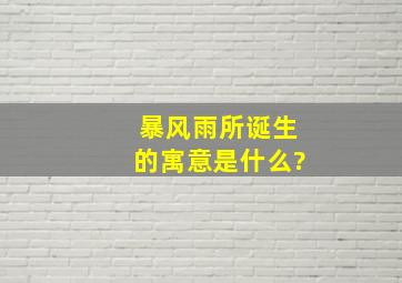 暴风雨所诞生的寓意是什么?