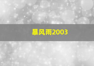 暴风雨2003