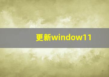 更新window11