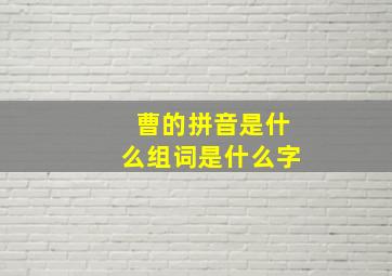 曹的拼音是什么组词是什么字