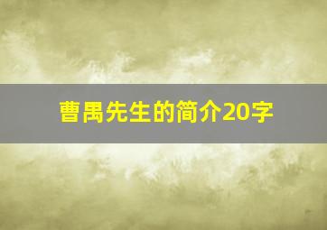 曹禺先生的简介20字