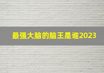 最强大脑的脑王是谁2023