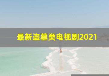 最新盗墓类电视剧2021