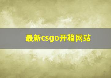 最新csgo开箱网站