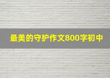 最美的守护作文800字初中