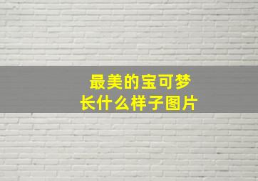 最美的宝可梦长什么样子图片