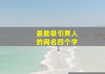 最能吸引男人的网名四个字