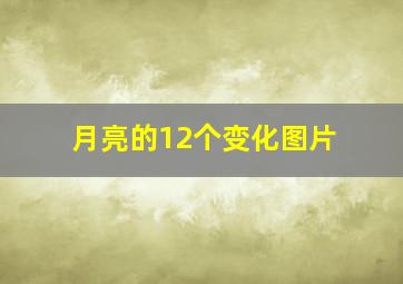 月亮的12个变化图片