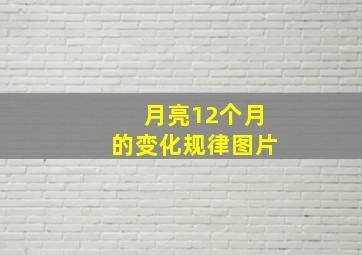 月亮12个月的变化规律图片