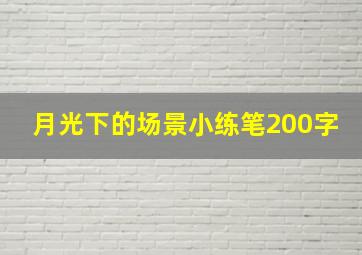 月光下的场景小练笔200字