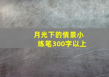 月光下的情景小练笔300字以上