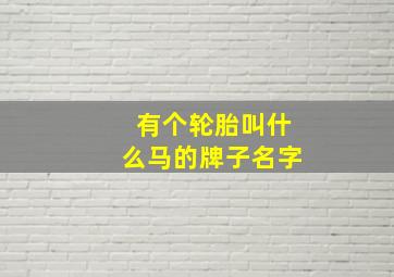 有个轮胎叫什么马的牌子名字