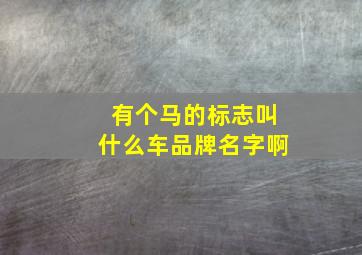 有个马的标志叫什么车品牌名字啊