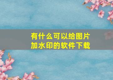 有什么可以给图片加水印的软件下载