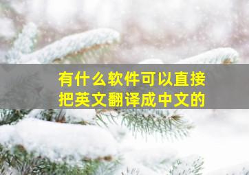 有什么软件可以直接把英文翻译成中文的