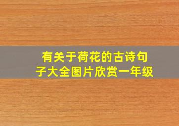 有关于荷花的古诗句子大全图片欣赏一年级