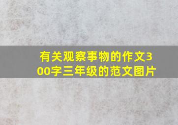 有关观察事物的作文300字三年级的范文图片