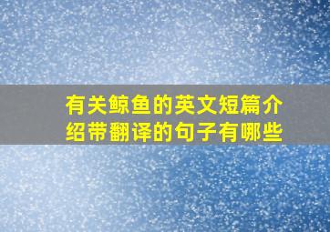 有关鲸鱼的英文短篇介绍带翻译的句子有哪些