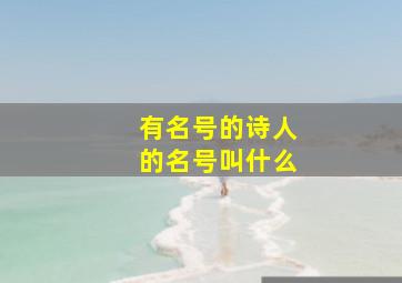 有名号的诗人的名号叫什么