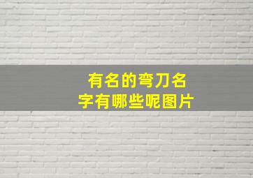 有名的弯刀名字有哪些呢图片