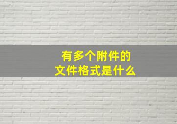 有多个附件的文件格式是什么