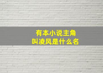 有本小说主角叫凌风是什么名