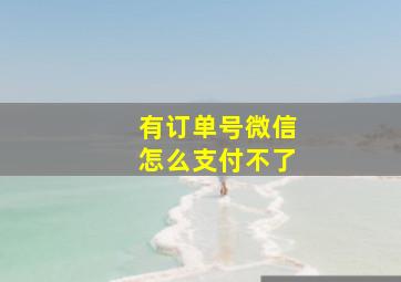 有订单号微信怎么支付不了