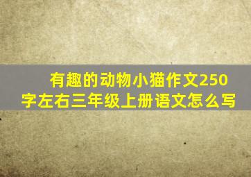 有趣的动物小猫作文250字左右三年级上册语文怎么写