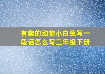 有趣的动物小白兔写一段话怎么写二年级下册