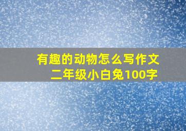 有趣的动物怎么写作文二年级小白兔100字