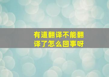 有道翻译不能翻译了怎么回事呀