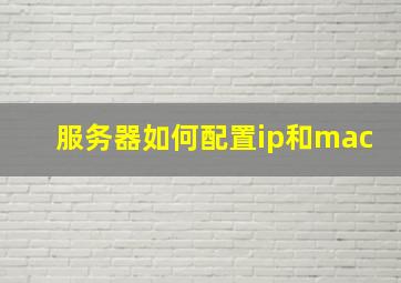 服务器如何配置ip和mac