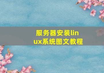 服务器安装linux系统图文教程