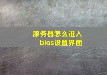 服务器怎么进入bios设置界面