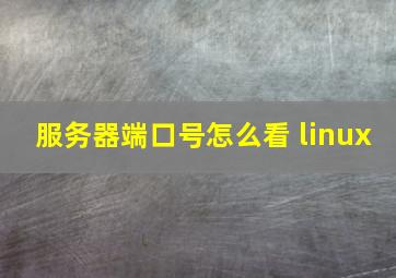 服务器端口号怎么看 linux