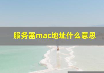 服务器mac地址什么意思