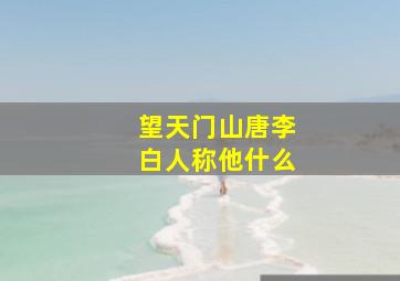 望天门山唐李白人称他什么