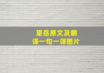 望岳原文及翻译一句一译图片